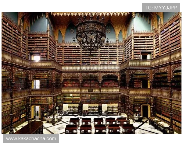 掌握尊龙z6手机版的最佳设置方法，提升使用体验