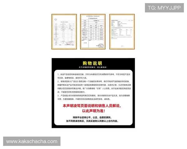 尊龙中国官网登录入口用户协议与隐私政策详细内容解读与注意事项