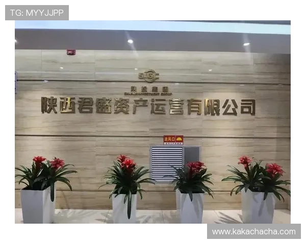 尊龙时凯中国官网入口下载最新版安全可靠的下载渠道推荐与使用注意事项