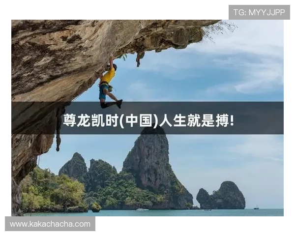 尊龙人生就是搏中国区：深度解析游戏玩法技巧助你在虚拟世界中取得成功
