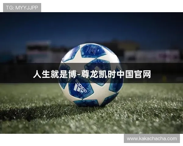 尊龙人生就是博登录：分析平台的合法性与安全保障措施